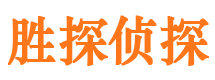 卫东市侦探公司